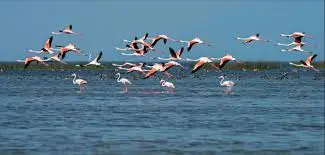 best places in summer in uttar pradesh